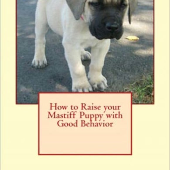 "Sammy the Runaway Mastiff"  Sammy is a Mastiff dog - Picture 3 of 6